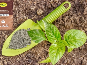 Wat is de beste meststof voor aardappelen? 