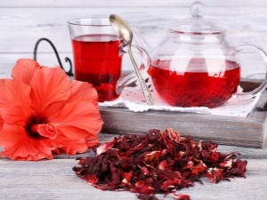 Hibiscus: properties and rules of use