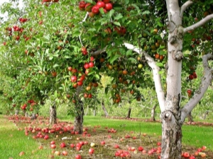 Methods for controlling diseases and pests of apple trees