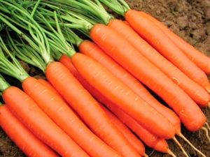 Carrot Emperor: hoe te planten en te verzorgen?