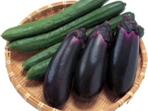 Is het mogelijk om aubergines en komkommers in dezelfde kas te planten?