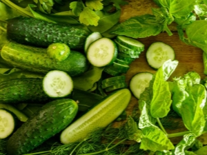 Cucumbers Prestige: variety description, planting and care