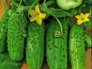 Cucumber Brother Ivanushka F1: characteristics of the variety and agricultural technology