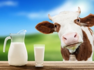 Gepasteuriseerde melk: wat is het en hoe bewaar je het, de voordelen en nadelen van het product?