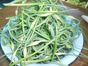 Recetas populares para tiradores de ajo en escabeche.