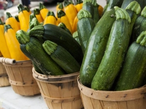 Courgetterassen: kenmerken en selectieregels