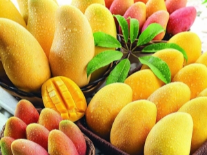 Eigenschappen en toepassingen van gele mango