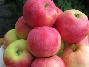 Appelboom Mantet: rasbeschrijving, planten en verzorgen