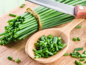 Groene uien: voordelen en nadelen voor de gezondheid, toepassingskenmerken