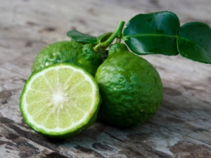 Bergamot: voordelen en nadelen, applicatiefuncties