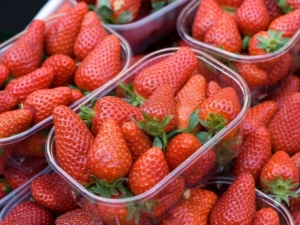 Beanless strawberries: varieties and recommendations for growing