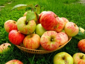 Appels bewaren: hoe en waar vers fruit thuis bewaren?