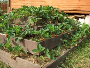 How to make beds for strawberries with your own hands?