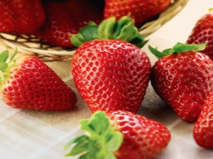 What varieties of strawberries to choose for cultivation in Siberia?