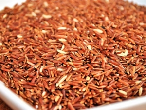 Calorie content and composition of brown rice