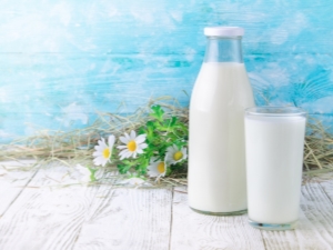 Kefir: calorieën en voedingswaarde