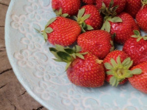 Strawberry Fairy: kenmerken van het ras en landbouwtechnologie