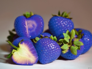 Blauwe aardbeien - mythe of realiteit?