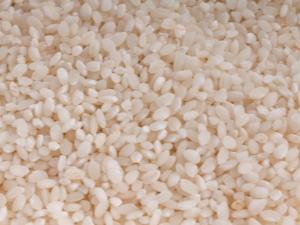 Arroz de grano redondo: propiedades, contenido calórico y rasgos distintivos