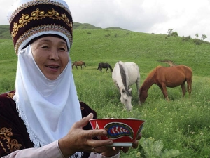 Kumis: belangrijkste eigenschappen en gebruikskenmerken