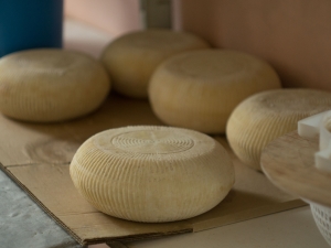 Ossetian cheese: properties and recipes