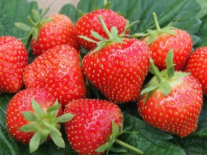 Why are strawberries sour and how can you fix it?