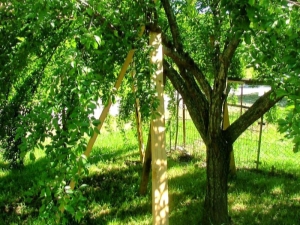 Steunen voor appelbomen: hoe maak je het zelf, bescherm je de boom tegen breuken en het gewas tegen de dood?