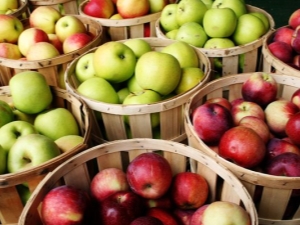 Early varieties of apples: advantages and disadvantages, description and selection tips