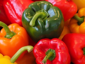 We telen paprika in een kas: alles over het goed planten en verzorgen van een geurige groente