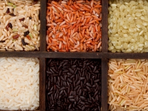 Tipos de arroz: ¿qué variedades existen, cómo elegir?