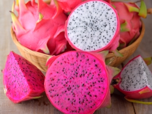 Draakonivili (pitahaya, pitahaya, draakonisilm): mis puu see on ja kuidas seda õigesti valida?