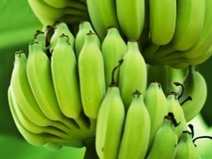 Groene bananen: kenmerken, eigenschappen en gebruiksregels