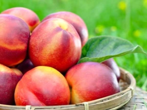 Nectarine: calorieën, voedingswaarde, gebruik bij afvallen