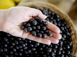 Acai berry: nó là gì, lợi ích, tác hại và sử dụng