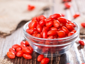 Goji berries: tính năng trồng và chăm sóc cây