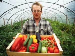 Kenmerken van het kweken van groenten