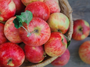 Appels: voordelen en nadelen, samenstelling en gebruiksregels