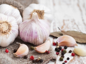 Knoflook voor gewichtsverlies: voordelen en nadelen, recepten en tips voor gebruik