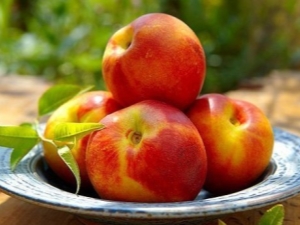 Nectarines: voordelen en nadelen voor de gezondheid, regels voor gebruik