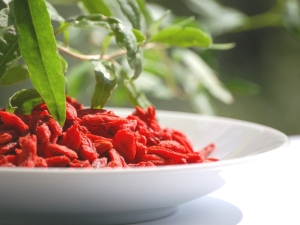 ¿Cómo tomar bayas de goji para adelgazar?