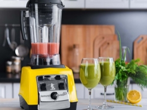 Smoothie-blenders: soorten en rangschikking van de beste