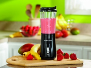 Mini smoothie blenders: varianten en geheimen naar keuze