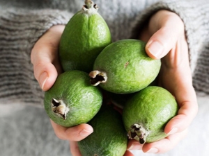 De voordelen en nadelen van feijoa voor vrouwen