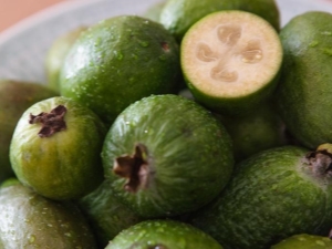 Wat is feijoa?