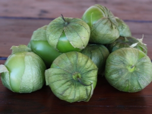 Wat is plantaardige physalis en hoe kook je het?