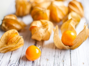 Hoe physalis te kweken?