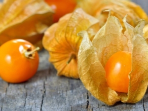 Populaire physalis-recepten 