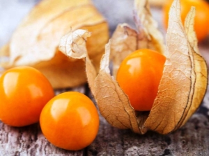 Alles over aardbei physalis