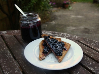 Confiture de sureau noir