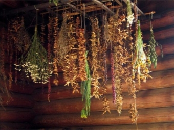 Sấy thảo mộc tại nhà